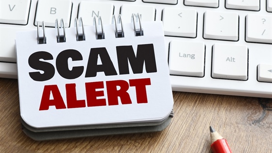 What to Do If You've Been Scammed: A Step-by-Step Guide